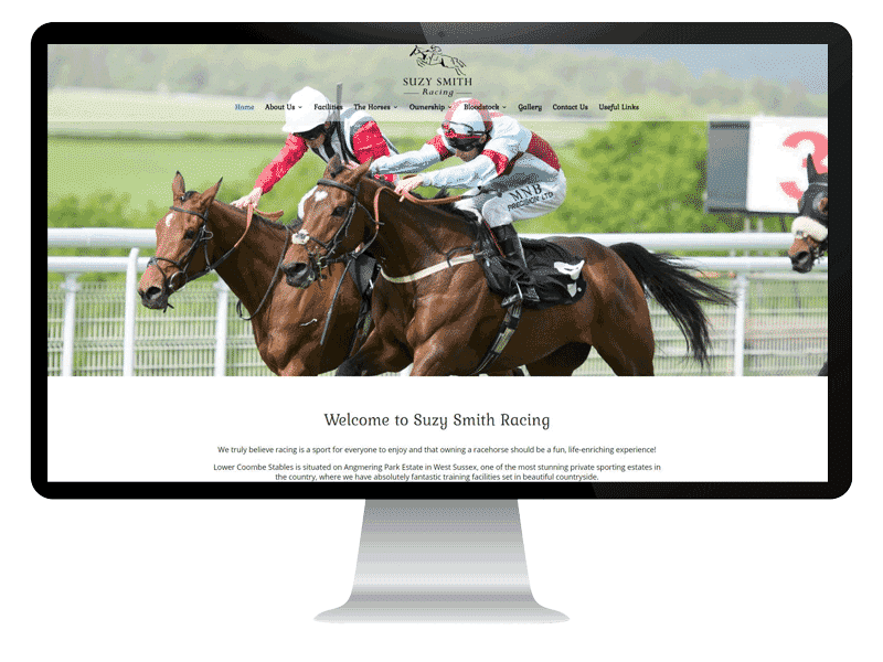 Website Design Project